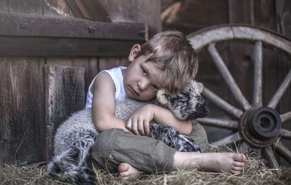 Маленький грустный мальчик обнимает ягненка