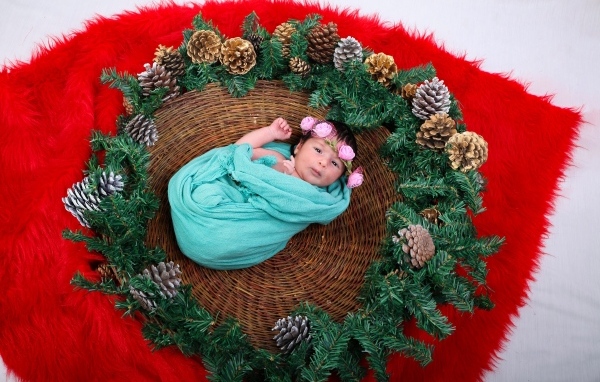 Новорожденная девочка в корзине с еловыми ветками