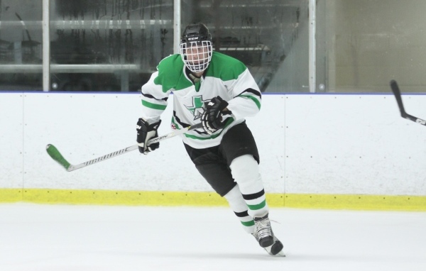 Хоккеист с клюшкой на поле