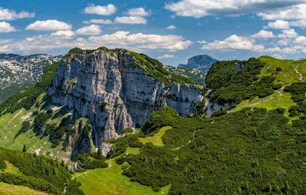 Вид на покрытые зеленью Австрийские Альпы