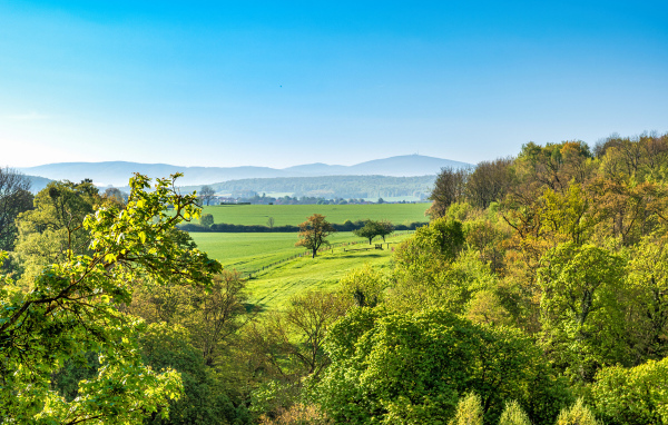 Зеленые деревья под голубым небом, Германия