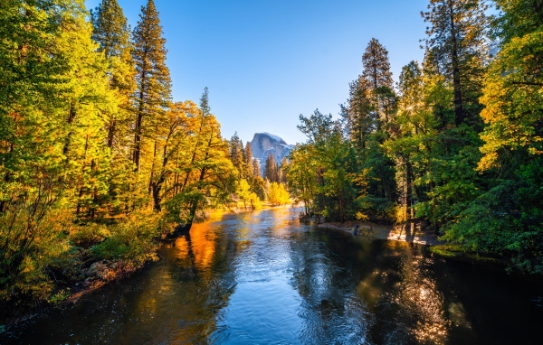 Река в осеннем парке, США
