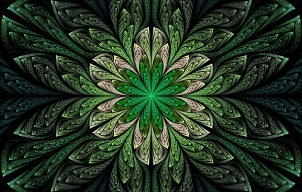 Абстрактный зеленый волнистый цветок 