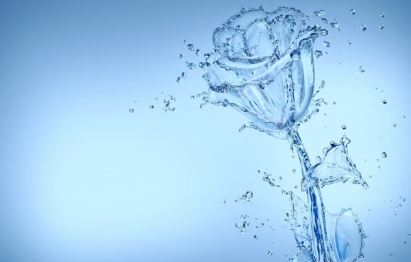 Красивая роза из воду на голубом фоне