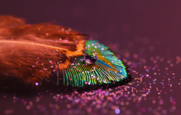 Красивое перо павлина с блестками