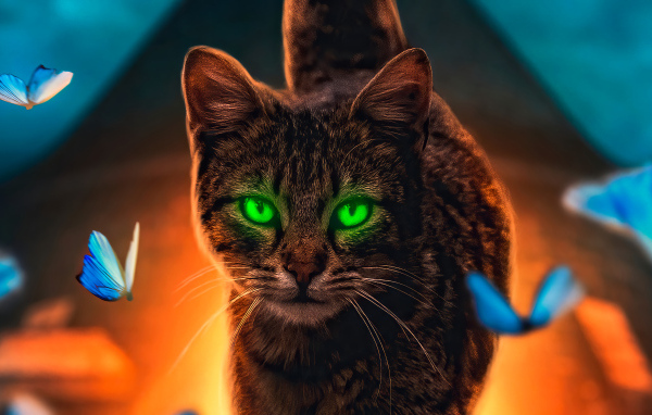 Зеленоглазый серый кот с голубыми бабочками