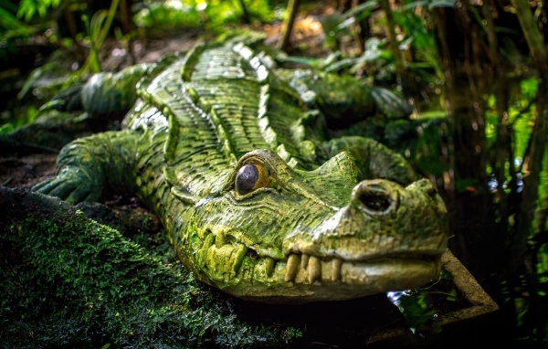 Большой зеленый крокодил у воды