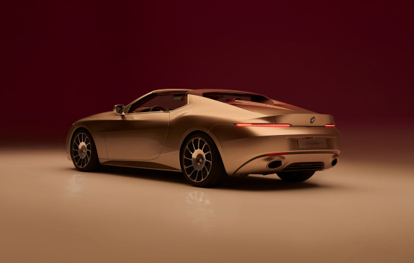 Вид сзади на автомобиль BMW Concept Skytop 2024 года