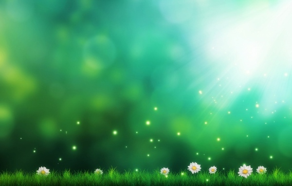 Зеленый фон с ромашками и зеленой травой