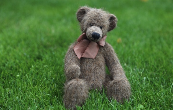 Игрушечный медведь с бантом сидит на зеленой траве