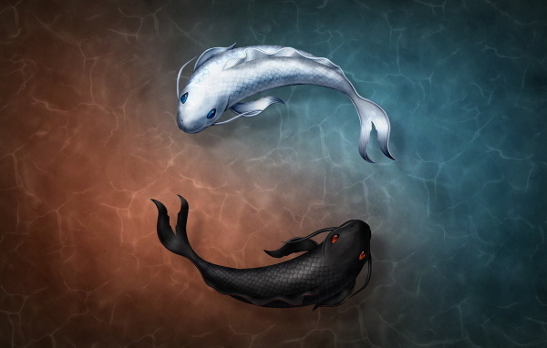 Черная и белая нарисованные рыбы в воде