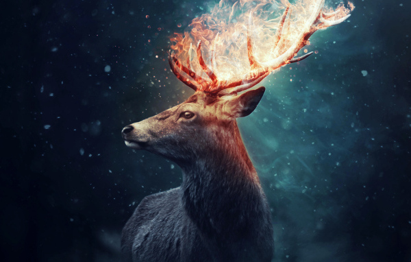 Олень с огненными рогами на черном фоне
