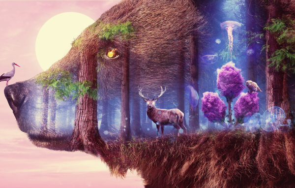 Фантастический рисунок леса