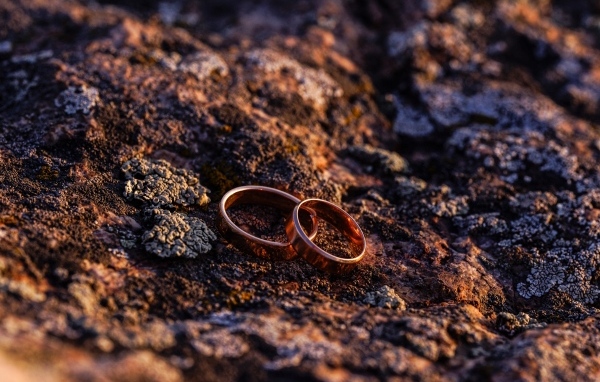 Два обручальных кольца на земле
