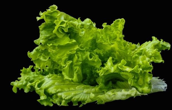 Зеленые листья салата на черном фоне крупным планом