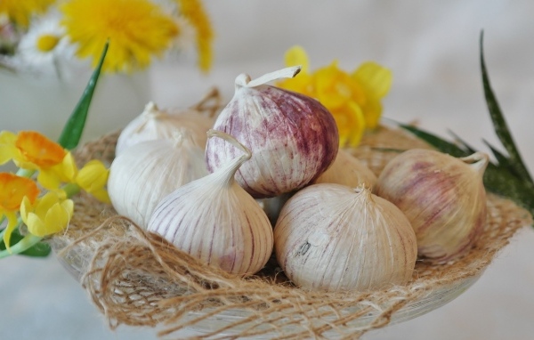 Головки чеснока с цветами нарцисса на столе