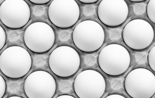 Много белых яиц в подставке на столе