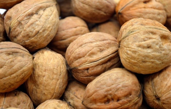 Много грецких орехов крупным планом