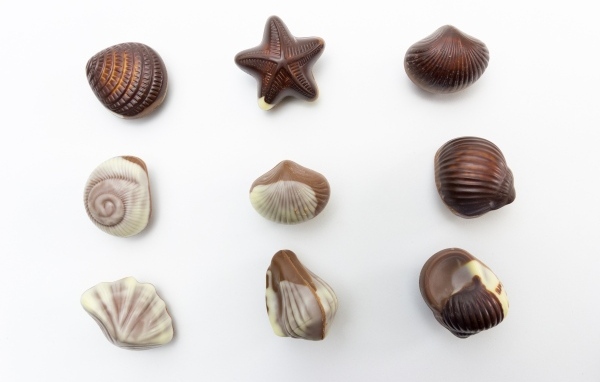 Шоколадные конфеты в форме ракушек на сером фоне