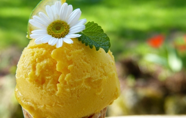 Фруктовое мороженое с мятой и цветком ромашки