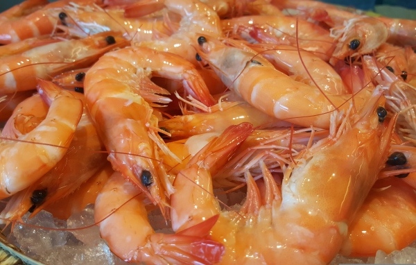 Вкусные креветки на тарелке крупным планом