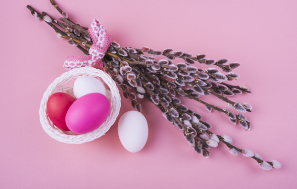 Ветки вербы с яйцами на розовом фоне