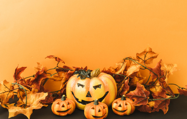 Композиция на оранжевом фоне на праздник Хэллоуин