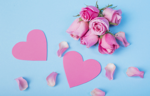 Розовые сердечки и цветы розы на голубом фоне