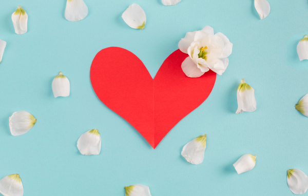 Красное сердце с белыми лепестками на голубом фоне