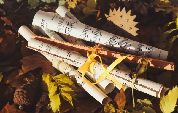 Ноты лежат на земле с опавшими листьями