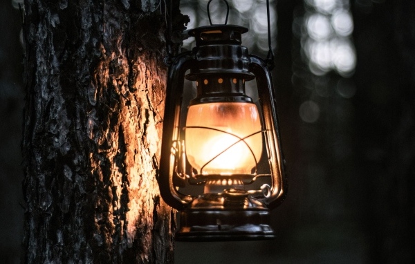 Светящийся фонарь висит на дереве
