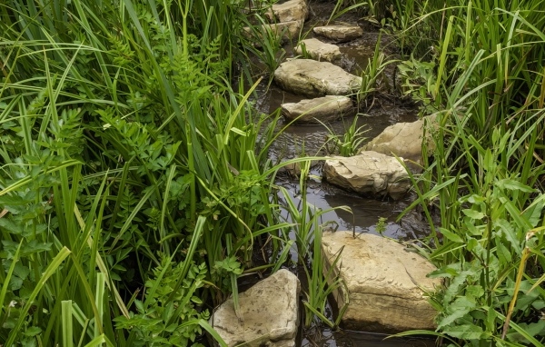 Большие камни в ручье в зеленой траве