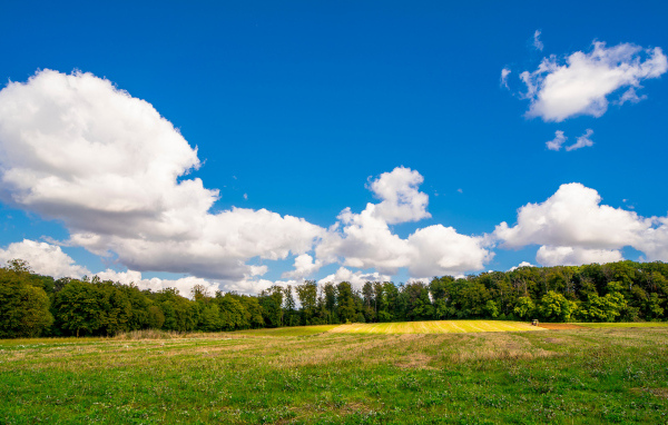 Белые густые облака над зеленым полем