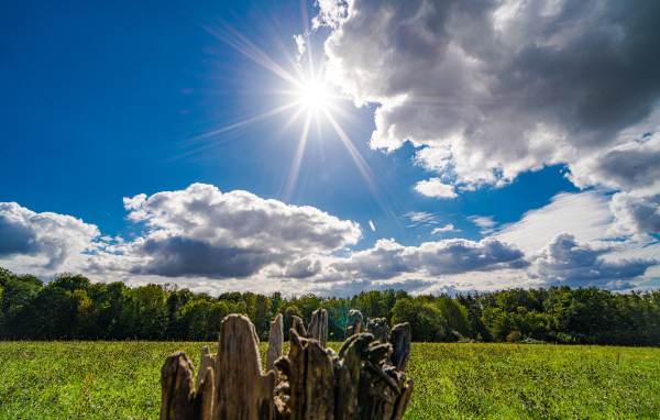 Солнце в голубом небе с белыми облаками над полем