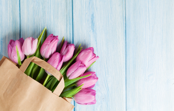 Пакет розовых тюльпанов на голубом столе