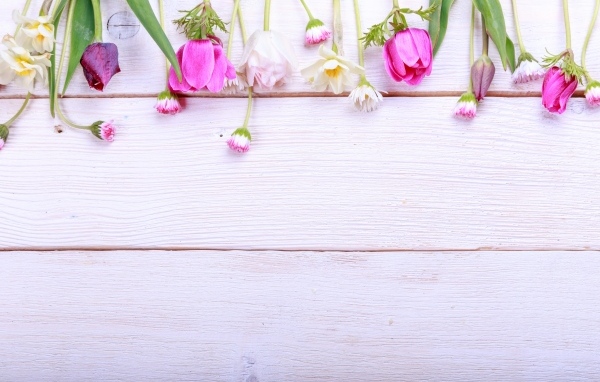 Красивые разноцветные весенние цветы на деревянном фоне