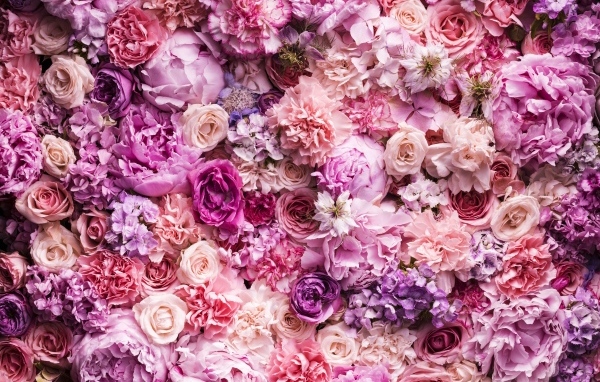 Красивый цветочный розовый фон