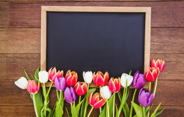 Красивые разноцветные тюльпаны с рамкой на деревянном столе
