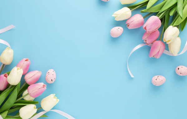 Красивые тюльпаны с яйцами на голубом фоне