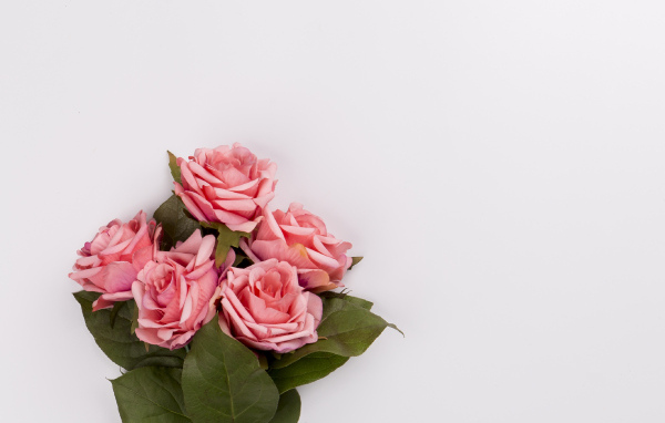 Букет розовых роз на сером фоне, шаблон 