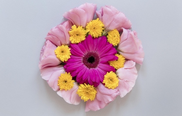 Круг из нежных цветов на сером фоне
