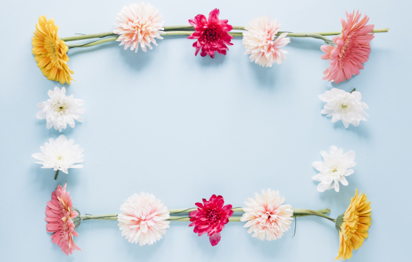 Рамка из разноцветных цветов на голубом фоне