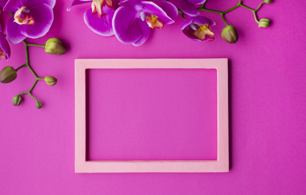 Рамка на розовом фоне с цветами орхидеи, шаблон для открытки