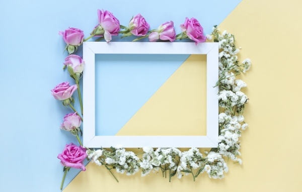 Рамка с цветами розы и гипсофилы 