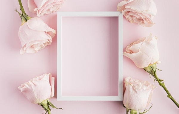 Рамка с бутонами роз на розовом фоне