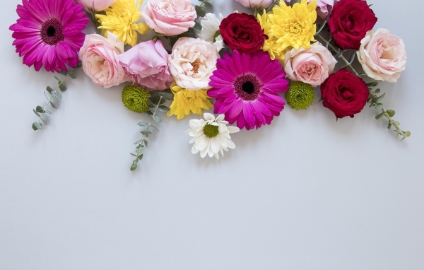 Разноцветные цветы на сером фоне