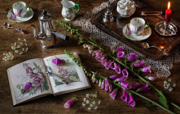 Розовые цветы на столе с книгой и чаем