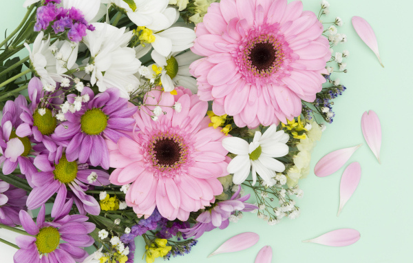 Розовые герберы и цветы хризантемы на голубом фоне