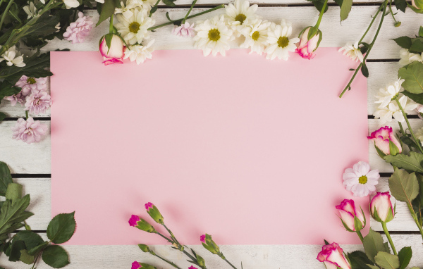 Розовый лист бумаги для открытки с цветами хризантемы