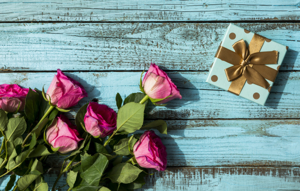 Розовые розы с подарком на голубом фоне на день рождения